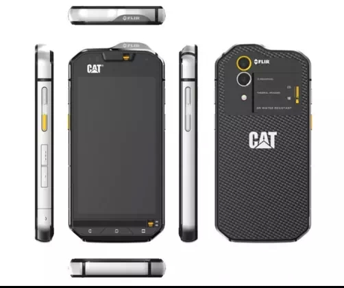 Cat 360 Cat 360